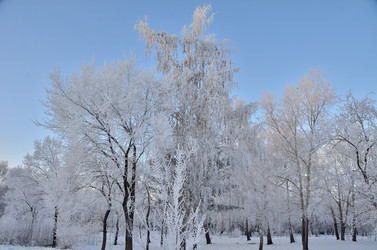 Similar image 21878843