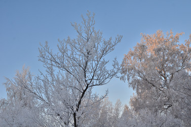 Similar image 21878844