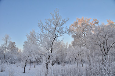 Similar image 21878845