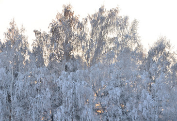 Similar image 21878846