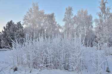 Similar image 21878847