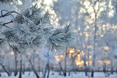 Similar image 21878849