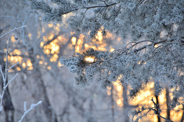 Similar image 21878850