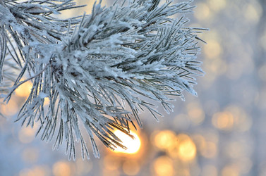 Similar image 21878851