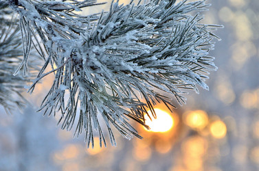 Similar image 21878852