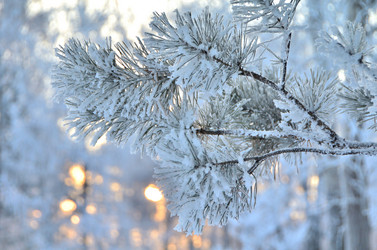 Similar image 21878853