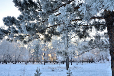 Similar image 21878854