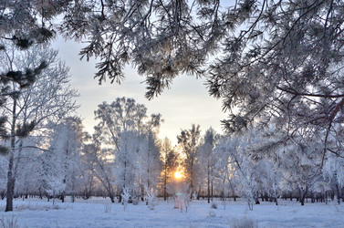 Similar image 21878855