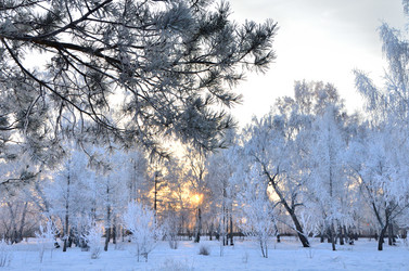 Similar image 21878856