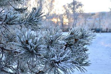 Similar image 21878858