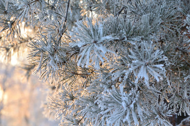 Similar image 21878859