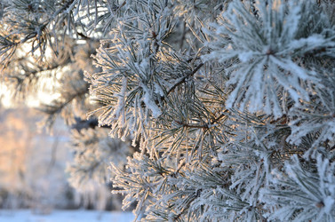 Similar image 21878860