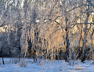 Similar image 21878863