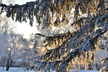 Similar image 21878865