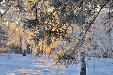 Similar image 21878866