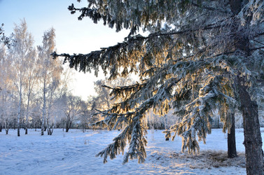 Similar image 21878867