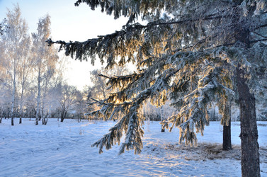 Similar image 21878869