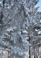 Similar image 21878870