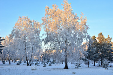 Similar image 21878871