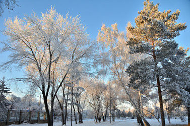 Similar image 21878872