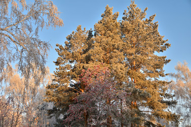 Similar image 21878875