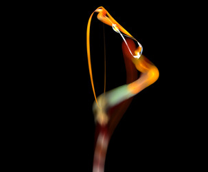 Similar image 21884158