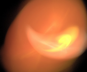 Similar image 21885068