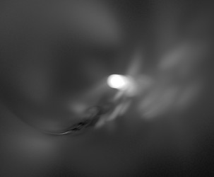 Similar image 21880455