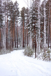 Similar image 21882897