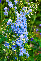 Similar image 21882903