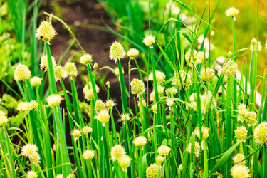 Similar image 21882909