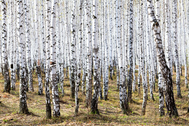 Similar image 21880212