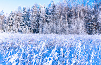 Similar image 21880214