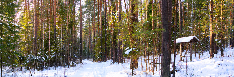 Similar image 21880215