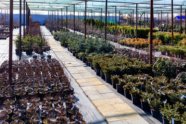 Similar image 21882915