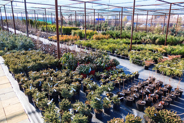 Similar image 21880277