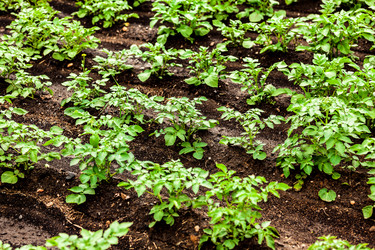 Similar image 21880294