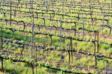 Similar image 21880299