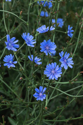 Similar image 21878615