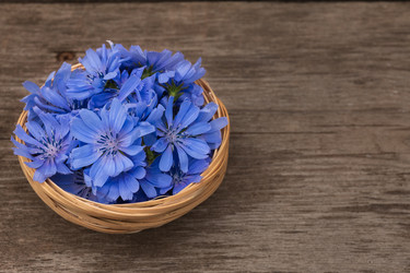 Similar image 21878617