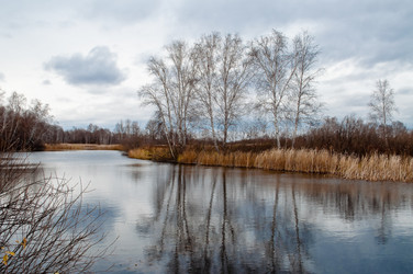 Similar image 21888988