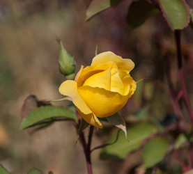 Similar image 21878620