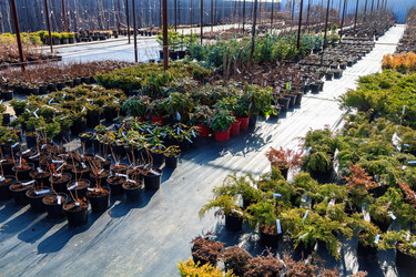 Similar image 21880219