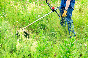 Similar image 21880220