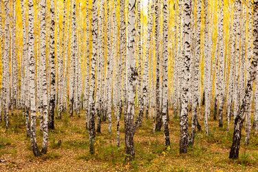 Similar image 21880222