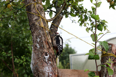 Similar image 21878876