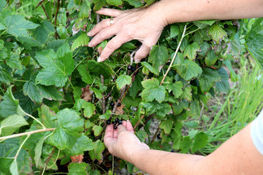 Similar image 21878877