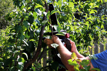 Similar image 21878878