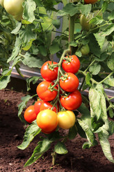 Similar image 21878879