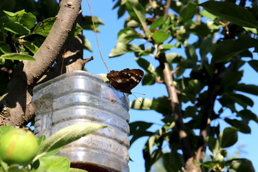 Similar image 21878880